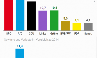 Landtagswahl Brandenburg 2019 - Ergebnis